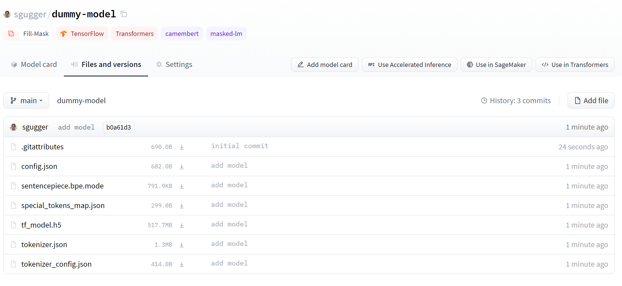 Dummy model containing both the tokenizer and model files.