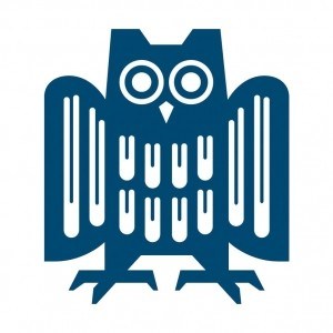 Саарский университет logo
