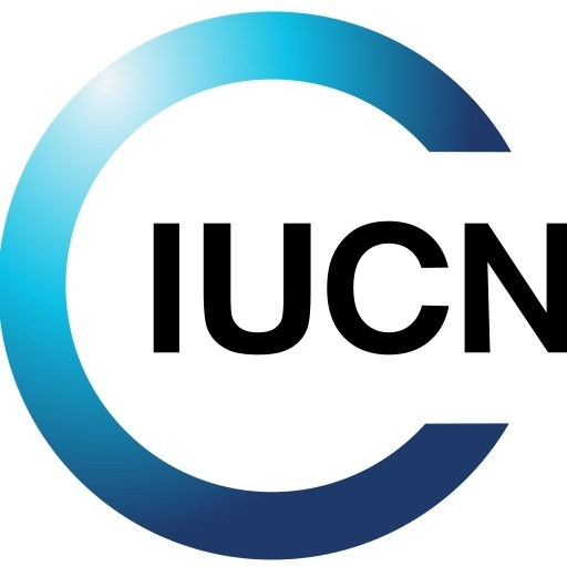 International University College of Nursing logo