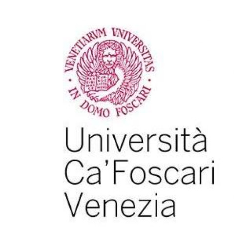 Ca'Foscari University of Venice logo