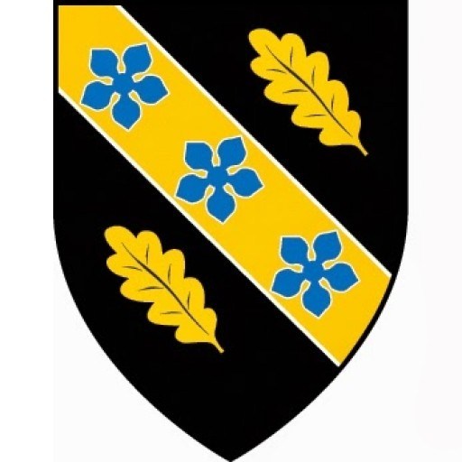 University of Wales logo