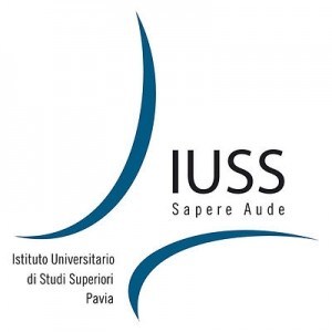 University Institute of Higher Studies logo