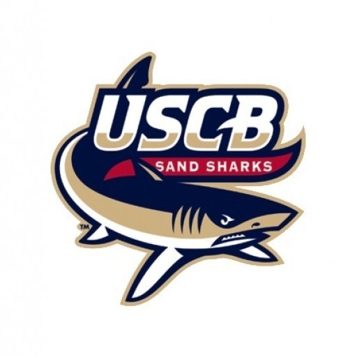 University of South Carolina - Beaufort logo