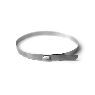 Хомут из нержавеющей стали AISI 316 8х601(        1уп=20шт)