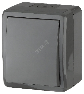 Переключатель IP54, 10АХ-250В, ОУ, Эра Эксперт, серый,11-1403-03
