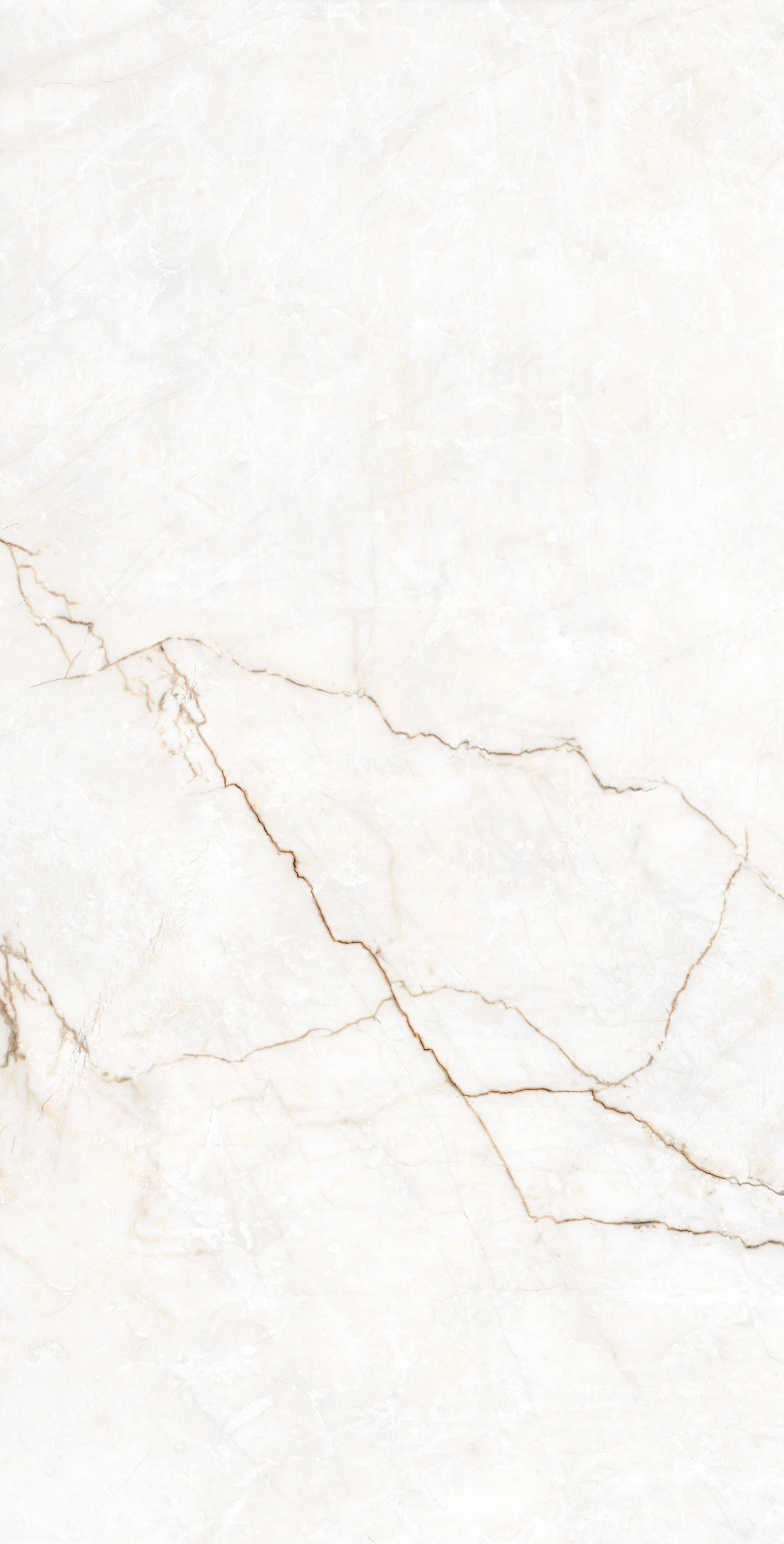LAPINO WHITE