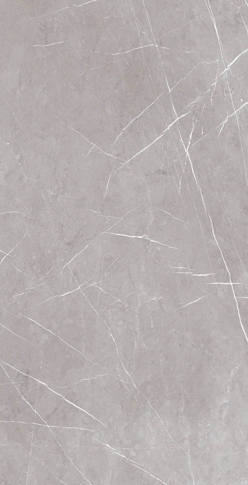 PISA GREY