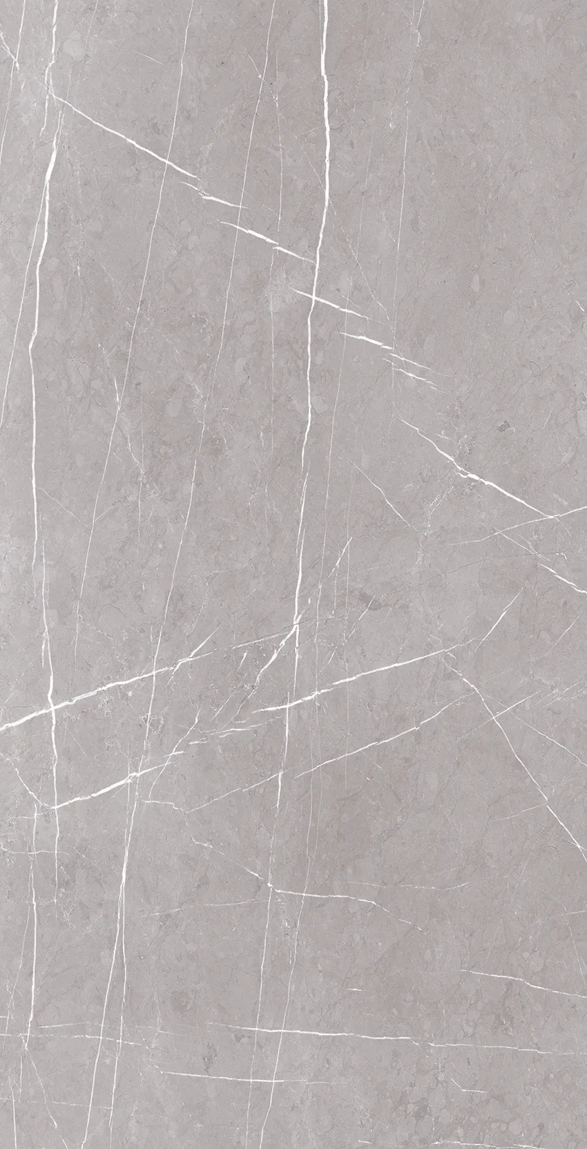 PISA GREY