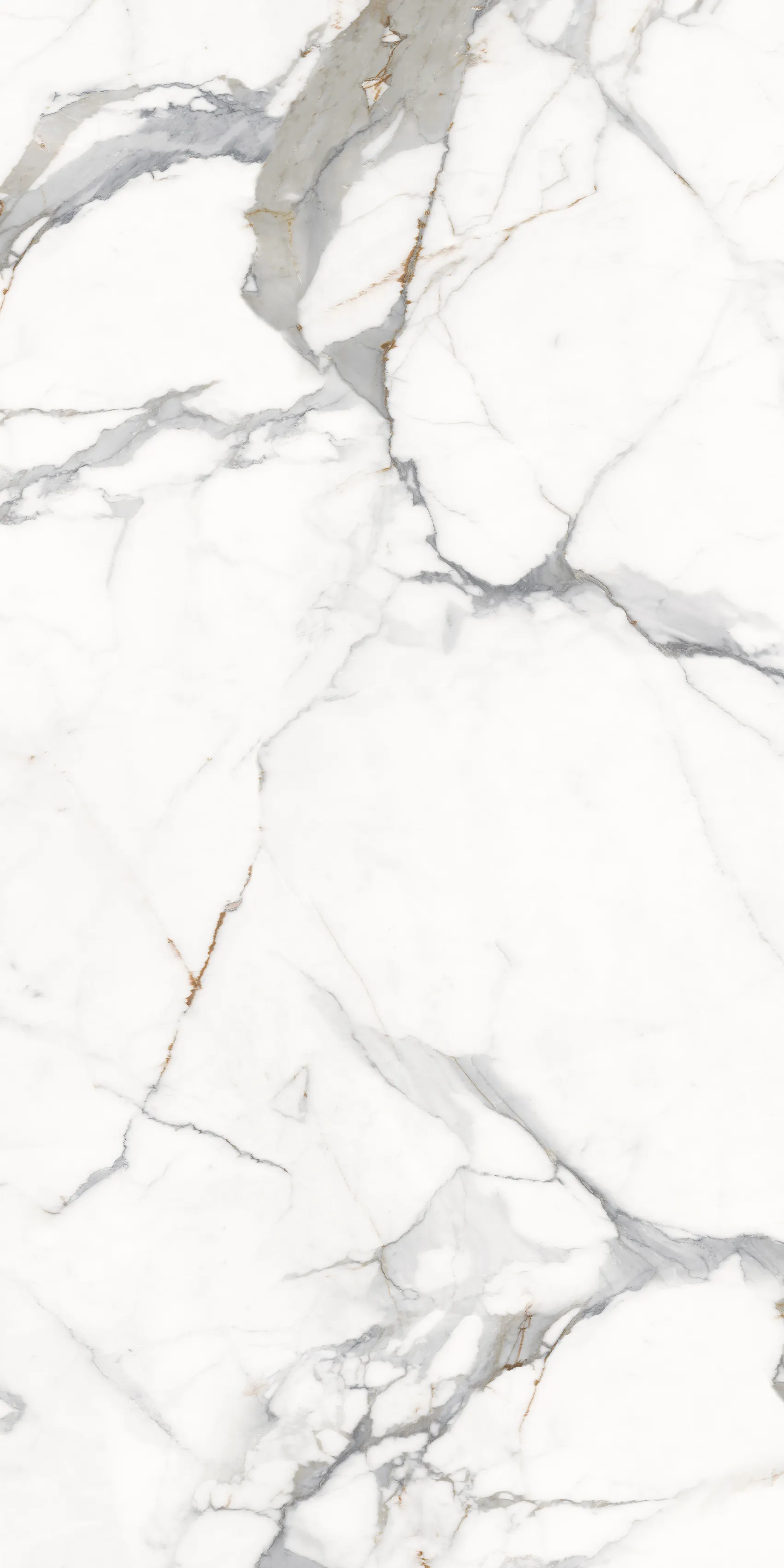 VIENNA CALCUTTA