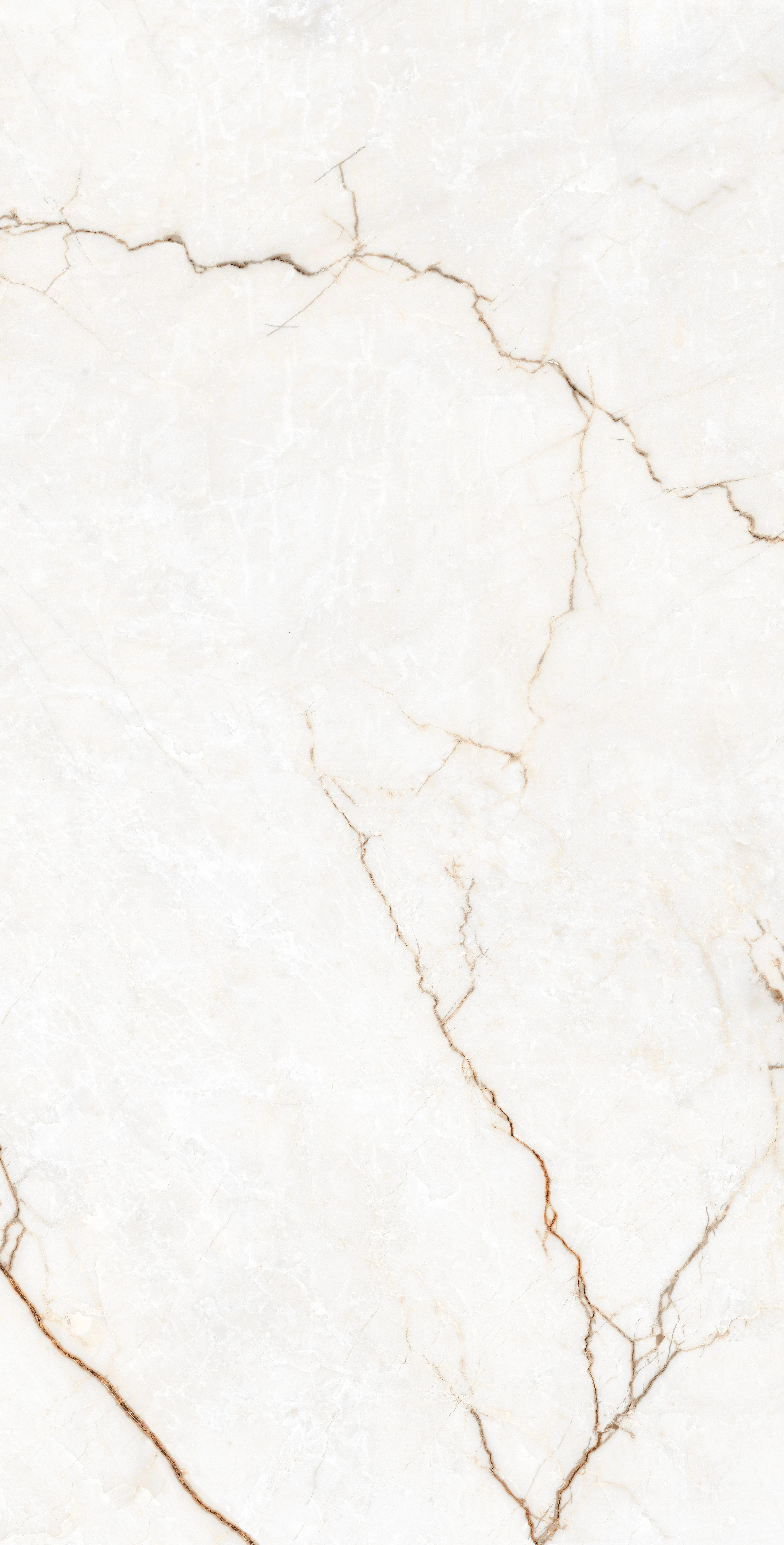 LAPINO WHITE