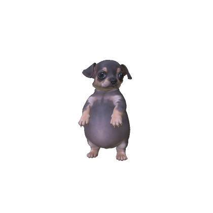 Chubby Puppy