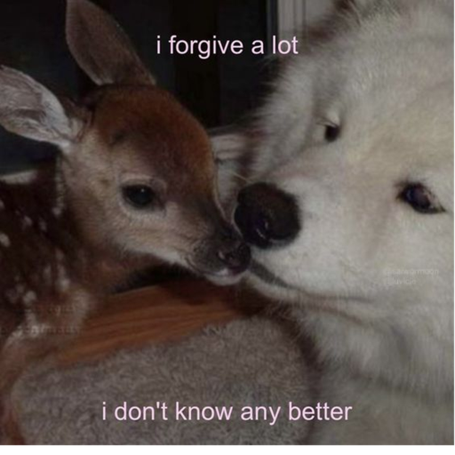 . . .