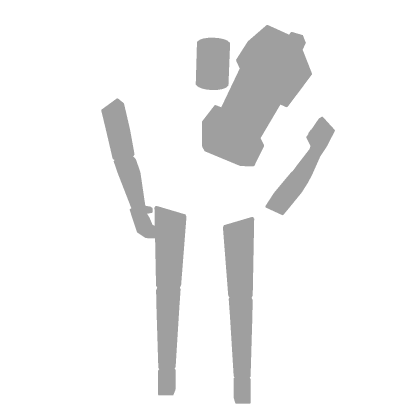 Body Phone