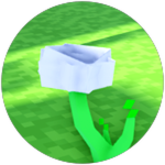 Full Bloom