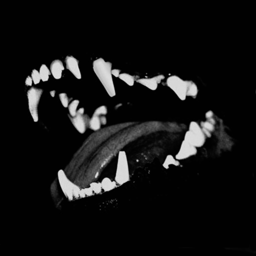 →