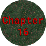 Chapter 16