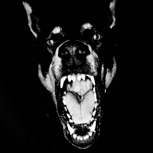 →