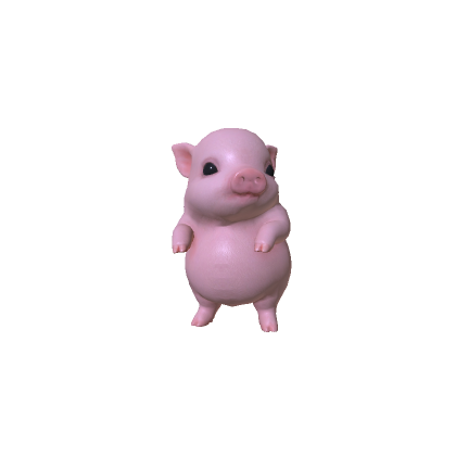 MINI PIG