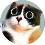 Котость