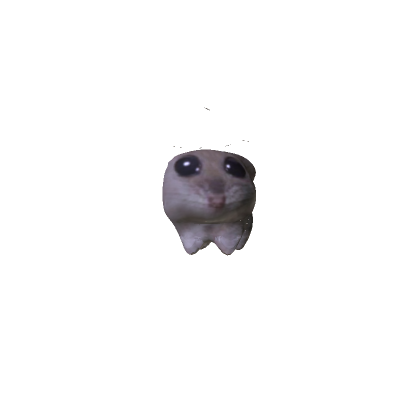 Mini Sad Hamster