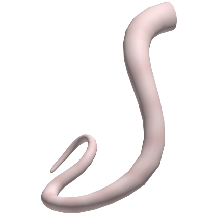 Mouse tail