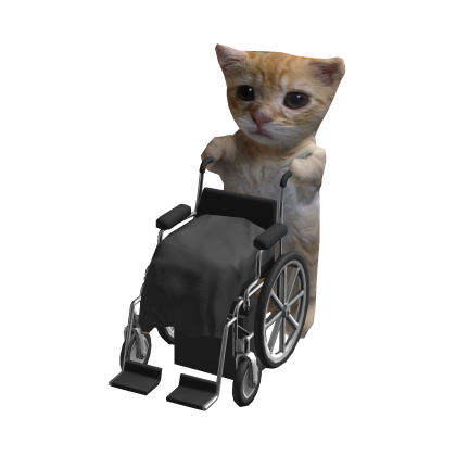Wheelchair El Gato Cat