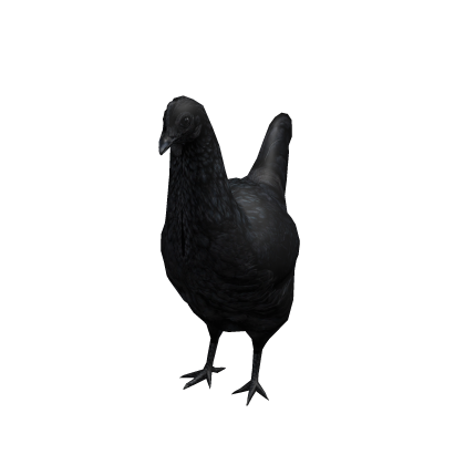 Chicken Suit
