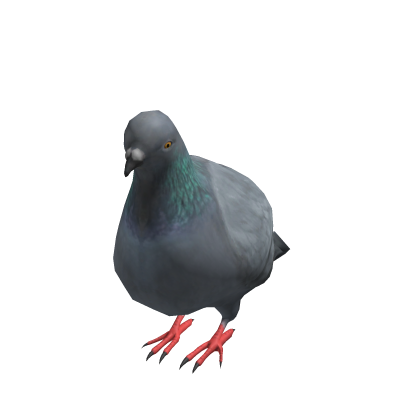 Pigeon Suit