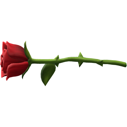🌹 Rose