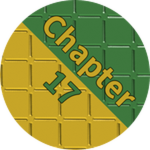 Chapter 17