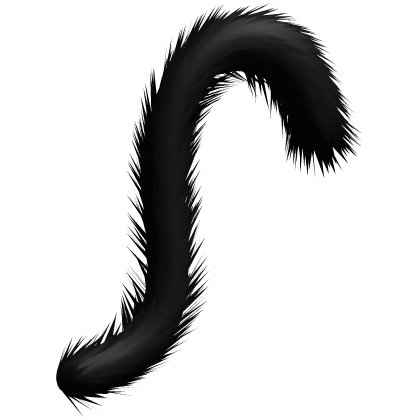 black cat tail