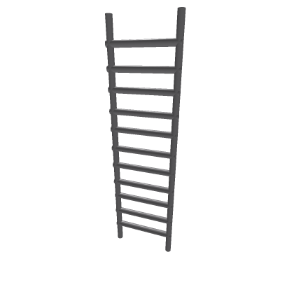 Ladder (Working)
