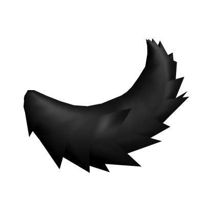 Black Fluffy Tail