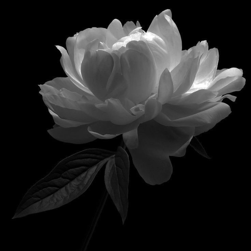 ୨୧