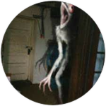 You Found at Chicken Ghost / God of Chickens