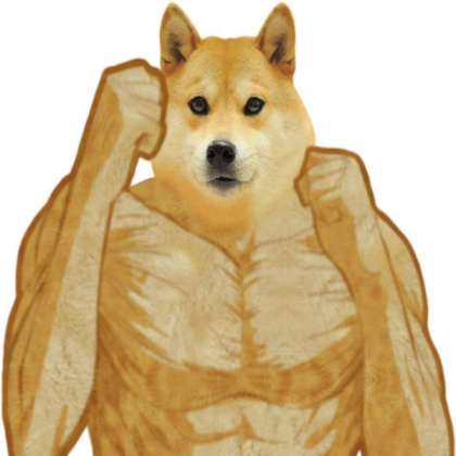 Doge Coin
