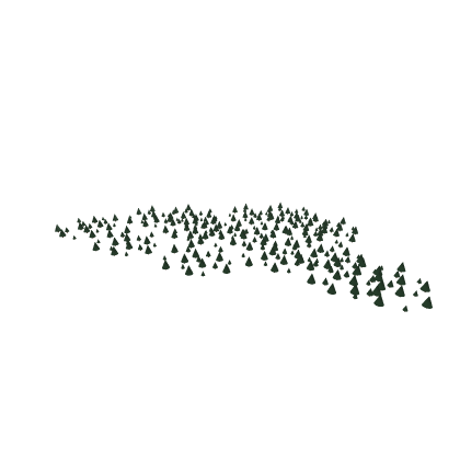 Dense Pine Forest