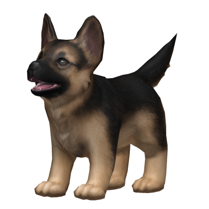 💙 Tan Black German Shepherd Puppy