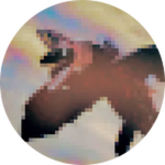 Infected Sky Form 5