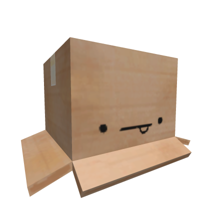 :P Cardboard Box