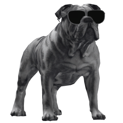 ✅ Dog