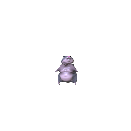 chunky baby hamster