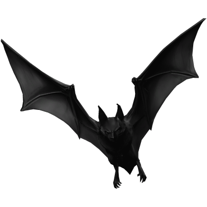 ✅ Bat