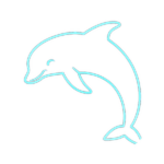 Dolphin Setter