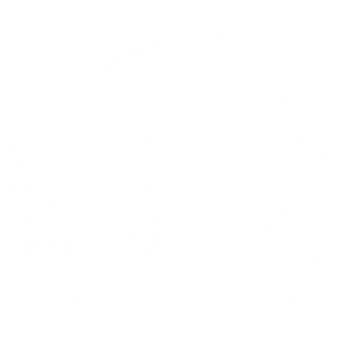 Sonic:R