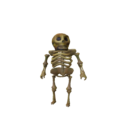 Skeleton