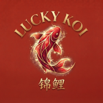 Lucky Koi锦鲤