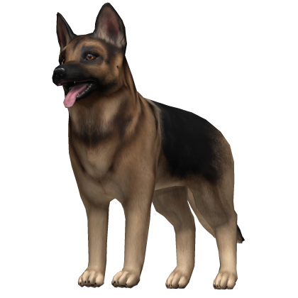 💙 Tan Black German Shepherd Dog