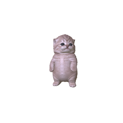 Little Kitten
