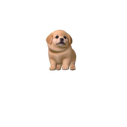 Chubby Retriever  Dog